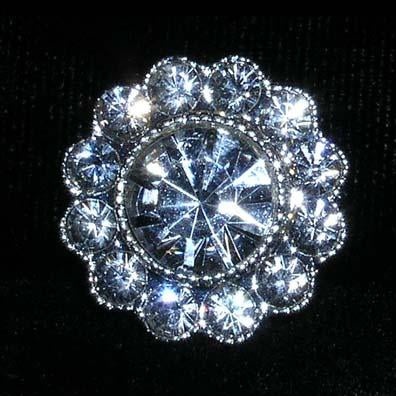 #15573 - Center Stone Daisy Button - 13/16